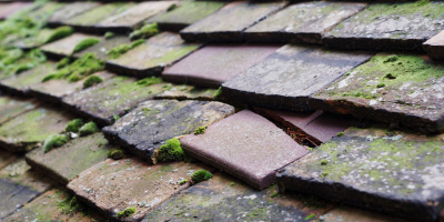 Southmore roof repair costs
